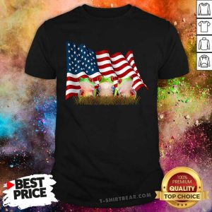 Frog American Flag Patriot Shirt