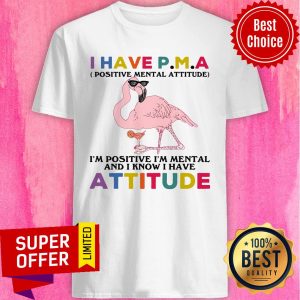 Have P.m.a Positive Mental Attitude I'm Positive I'm Mentally And I Know I Have Attitude Shirt