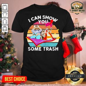 Colorful Raccoon Possum I Can Show You Some Trash Vintage Retro Shirt