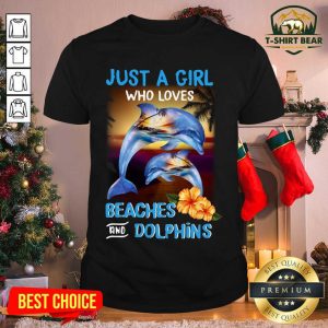 Premium Just A Girl Who Loves Beaches And Dolphins Shirt