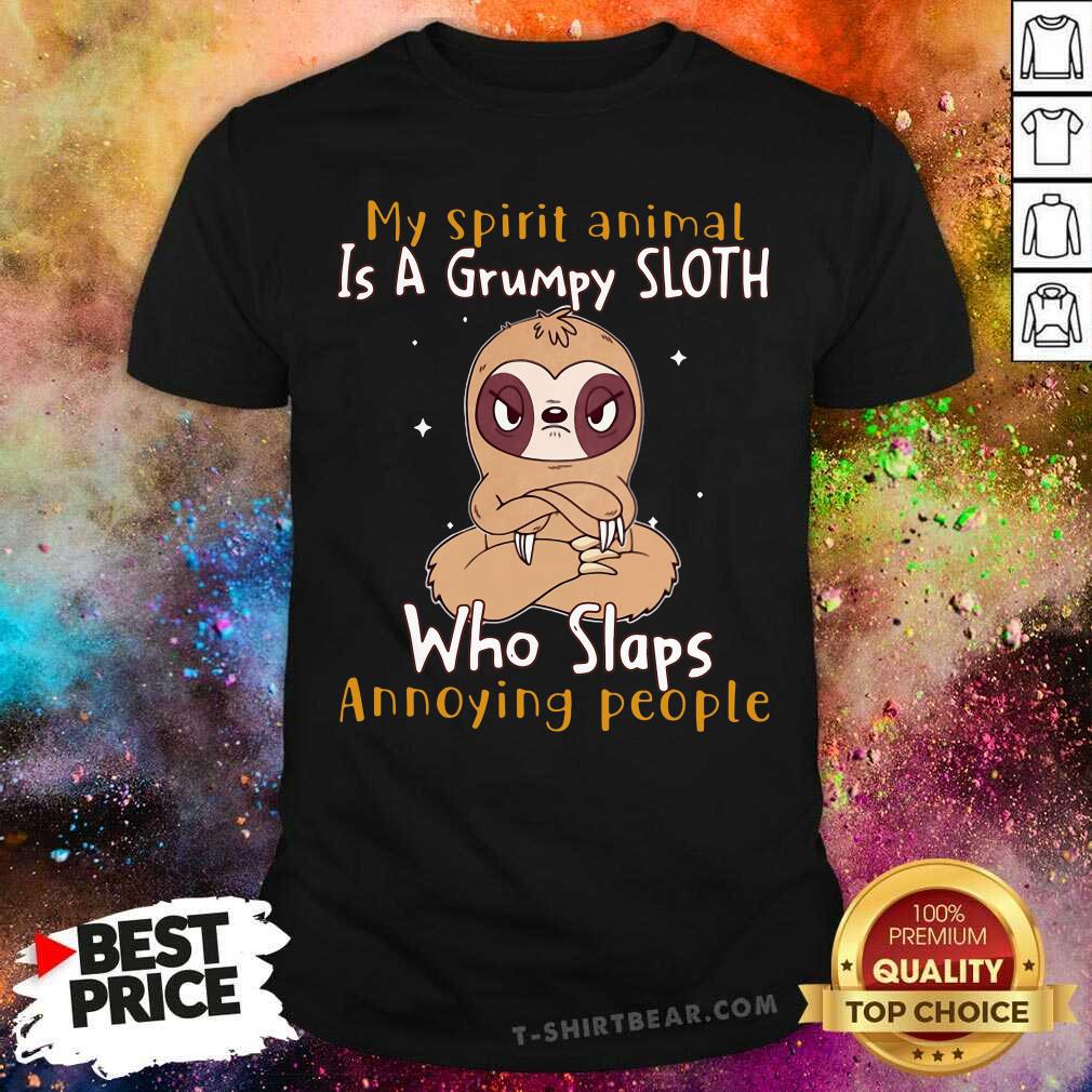 Cute My Spirit Animal Is A Grumpy Sloth Who Slaps Annoying People Shirt