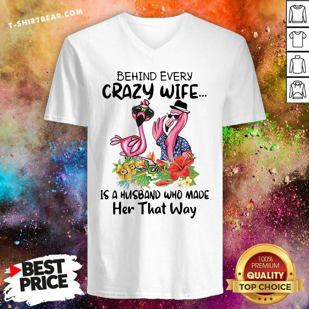 disappointed-flamingos-behind-every-crazy-wife-is-a-husband-5-who-made-her-that-way-v-neck.jpg