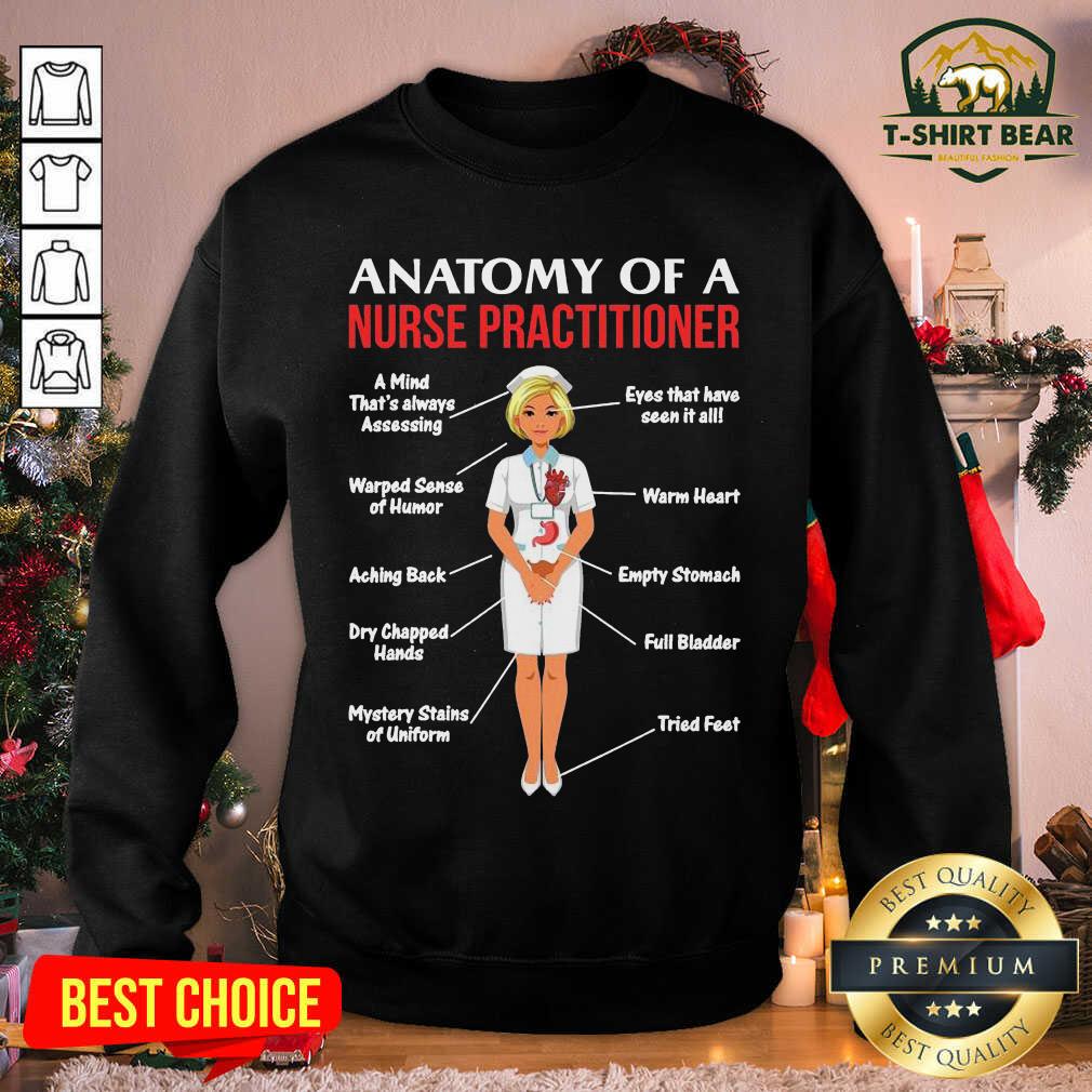 Funny Nurses Anatomy Of A Nurse Practitioner Shirt