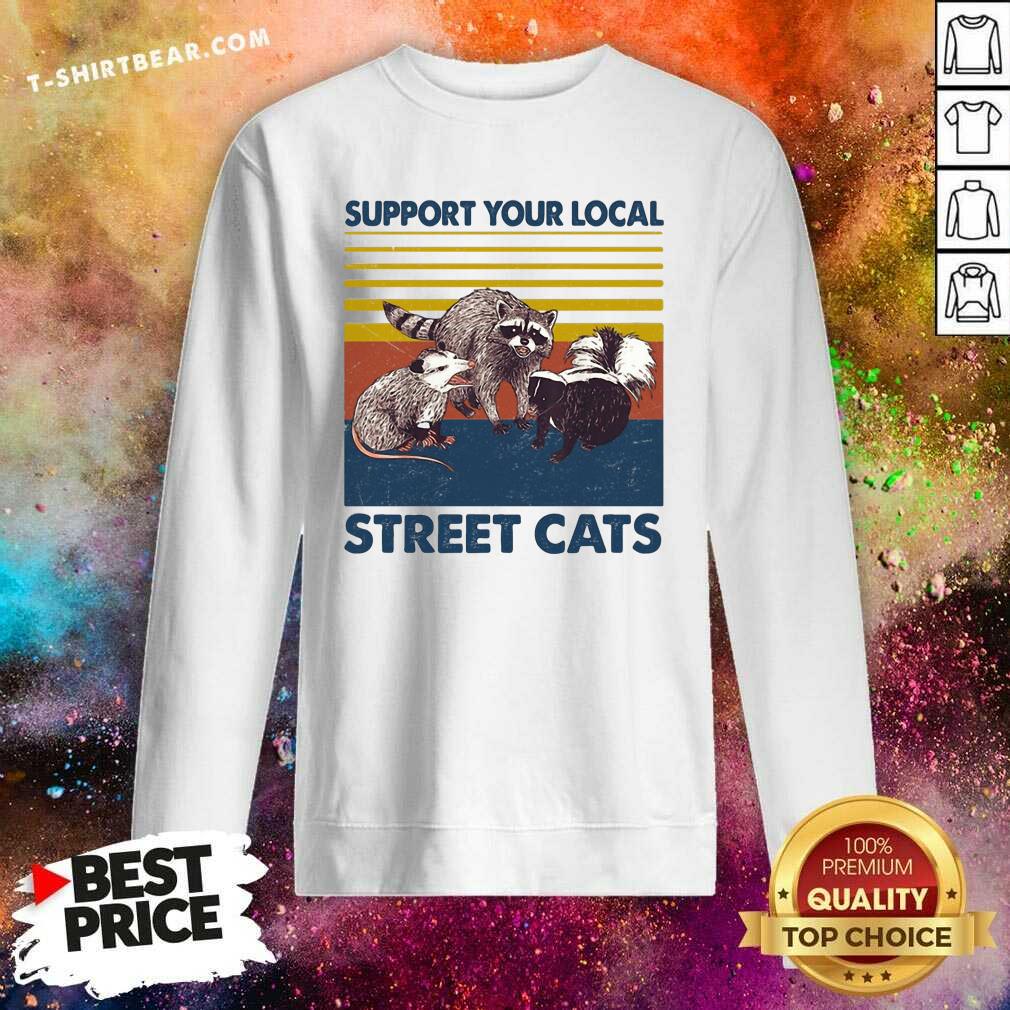 Funny Racoon Support Your Local Street Cats Vintage Shirt