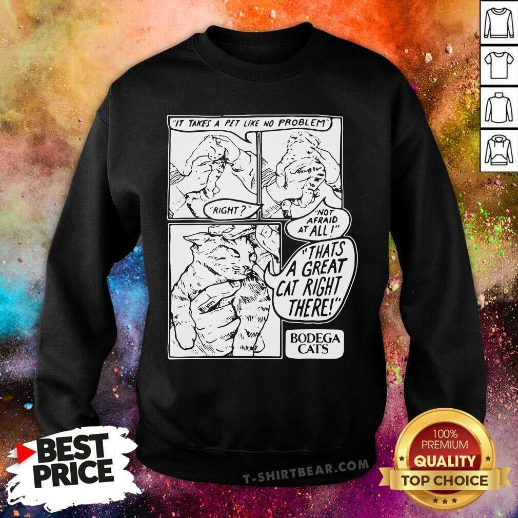 hot-it-takes-a-pet-like-no-problem-not-afraid-at-all-thats-a-great-cat-right-theresweatshirt.jpg