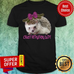 Awesome Crazy Hedgehog Lady Shirt