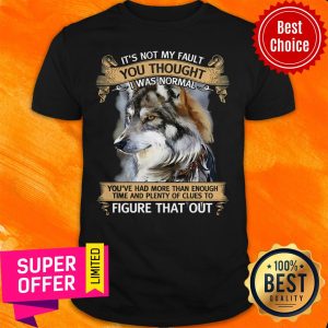 Funny It’s Not My Fault You Thought I Was Normal Figure That Out Wolf Shirt