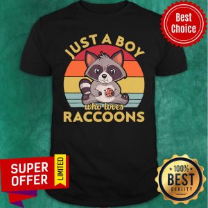Nice Just A Boy Who Loves Raccoons Vintage Retro Shirt