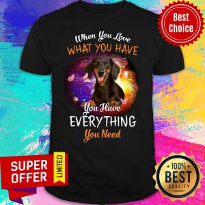 Dachshund You Have Everything You Need Shirt