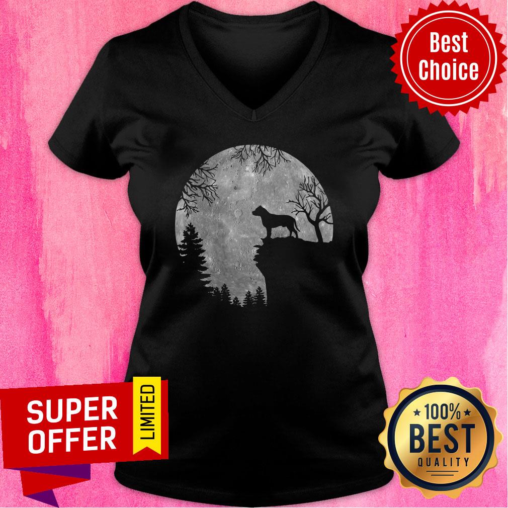Staffordshire Bull Terrier And Moon Halloween Shirt