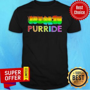 Premium Purride Cat Lgbt Pride Tee Gift Shirt