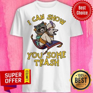 Premium Raccoon I Can Show You Some Trash Shirt