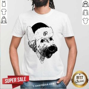 Cute Ajr Merch Ajr Doggy Hat Shirt
