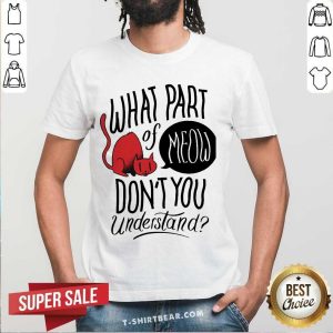 Hot Cat What Part Of Meow Don’t You Understand Shirt