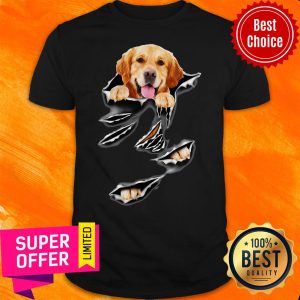 Official Virginia Golden Retriever Torn Vrfm Shirt