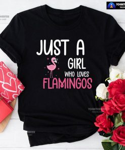 Just A Girl Who Loves Flamingos T-Shirt