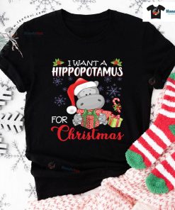 Cute Hippo Santa I Want A Hippopotamus For Christmas Design for Animal Lover T-Shirt