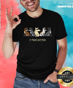 I Feel Pittie Teddy The Dog Shirt