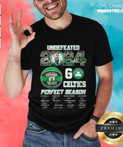 Boston Celtics 2024 Perfect Season Go Celtics T-Shirt