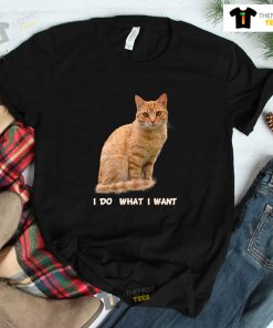 I Do What I Want Funny Orange Tabby Cat Shirt