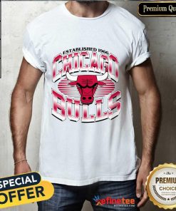 Established 1966 Bulls Chrome Lines T-shirt