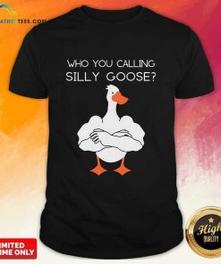 Who You Calling Silly Goose T-shirt
