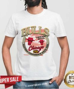 Chicago Bulls Hardwood Classics Vintage Soul Crown Jewels T-Shirt
