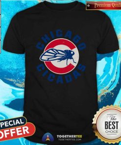 Awesome The Chicago Cicadas Baseball Team T-Shirt
