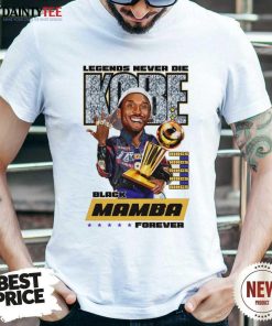 Great Black Mamba Los Angeles Lakers NBA Basketball Champs Tribute T-shirt