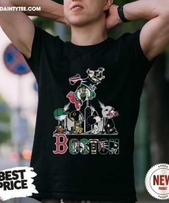 Great Boston Proud Of State New England Patriot T-Shirt