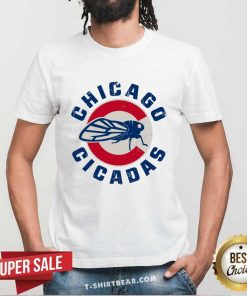 Nice The Chicago Cicadas Baseball Team T-shirt