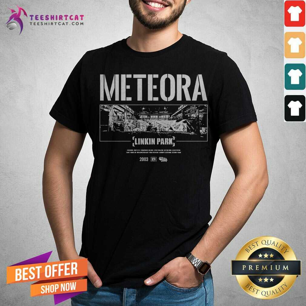 Shirt Offical Meteora Likin Park Wall Art T-Shirt