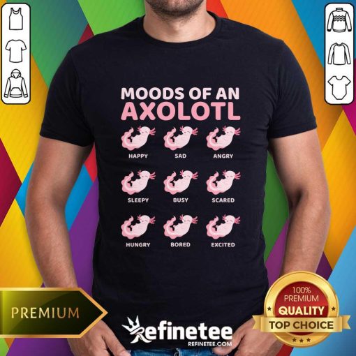 Good Moods Of An Axolotl T-Shirt