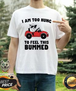 Great I Am Too Hung To Feel This Bummed T-Shirt