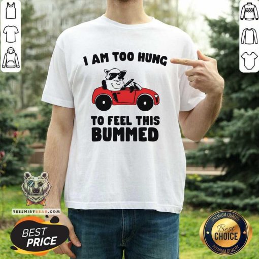 Great I Am Too Hung To Feel This Bummed T-Shirt