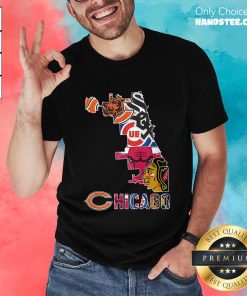 Nice Chicago Sports Teams Cubs White Sox Bulls Bears Blackhawks T-Shirt