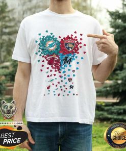 Nice Miami Dolphins Florida Panther Miami Heat Miami Marlin Sport T-Shirt