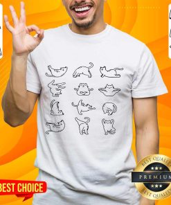 Official Chunky Cat Yoga Poses Teacher T-Shirt
