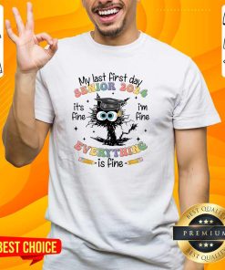 Funny Black Cat Senior 2024 Everything Is Fine T-Shirt