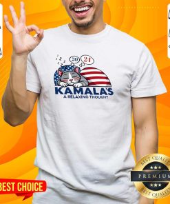 Great Cat Sleeping 2024 Kamala's A Relaxing Thought T-Shirt