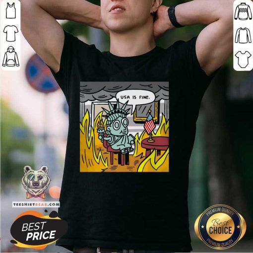 Hot USA Is Fine T-Shirt