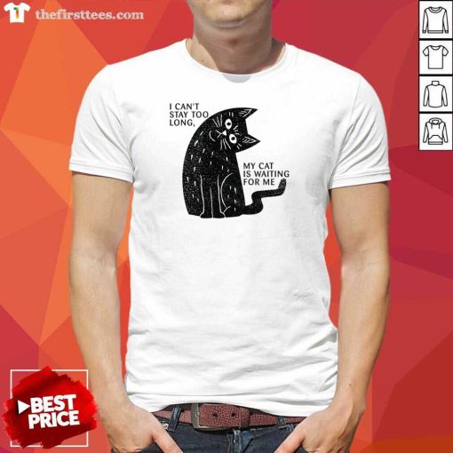 Nice My Cat Is Waiting For Me T-Shirt