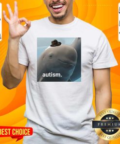 Awesome Dolphin Baby Hat Autism T-Shirt