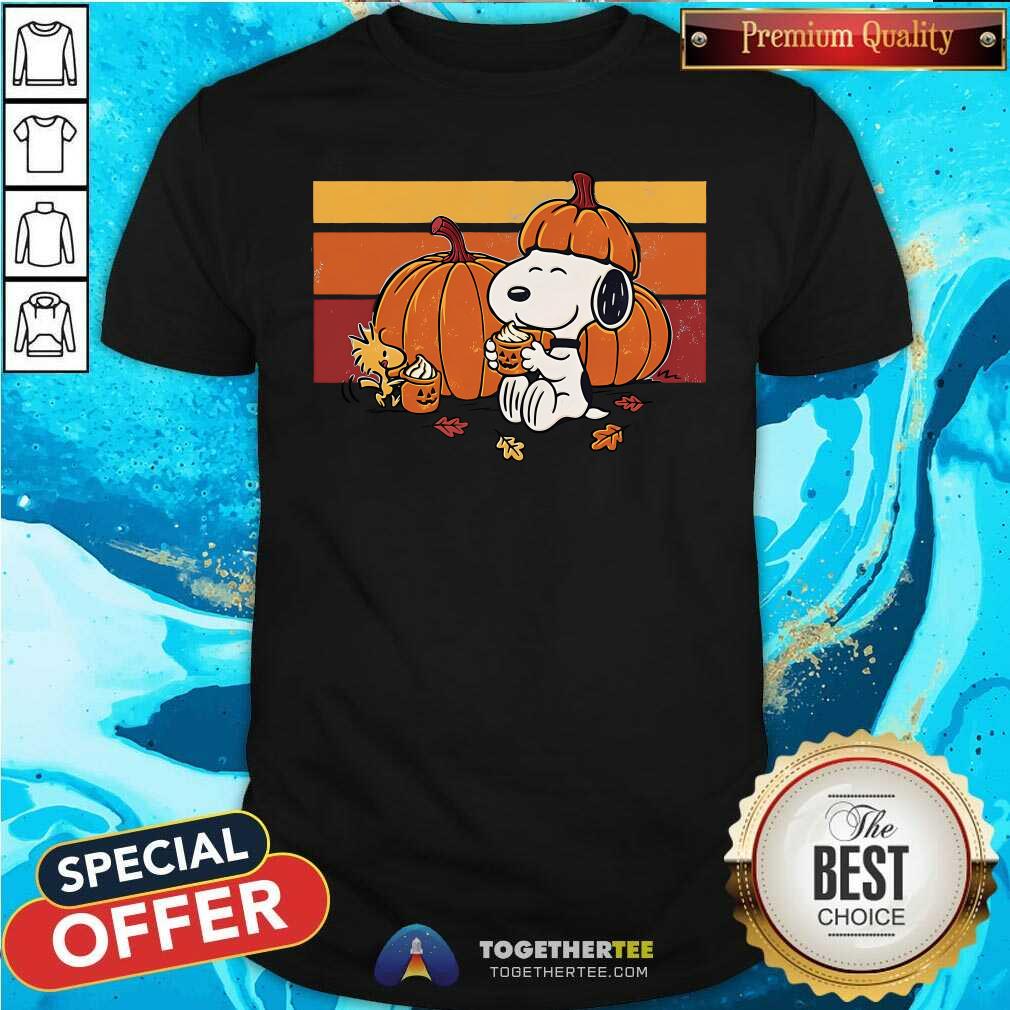 Shirt Awesome Snoopy And Woodstock Pumpkin Spice And Friends T-Shirt