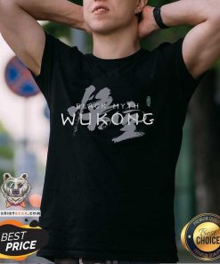 Good Black Myth Wukong Chinese T-Shirt