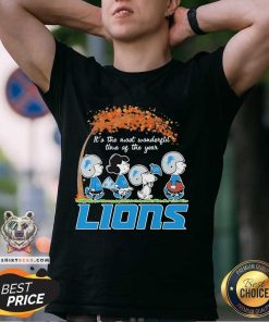 Great Detroit Lions Peanuts Charlie Browns And Snoopy In Fall T-Shirt