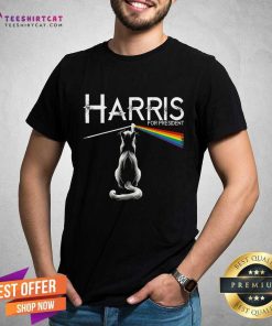 Hot Childless Cat Ladies Kamala Cat Lady Rainbow T-Shirt