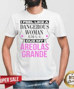 Nice I Feel Like A Dangerous Woman Cuz My Areolas Grande T-Shirt