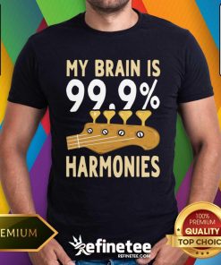 Pretty Guitar My Brain Is Harmonies T-Shirt