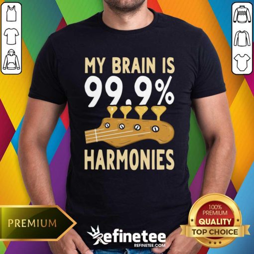 Pretty Guitar My Brain Is Harmonies T-Shirt